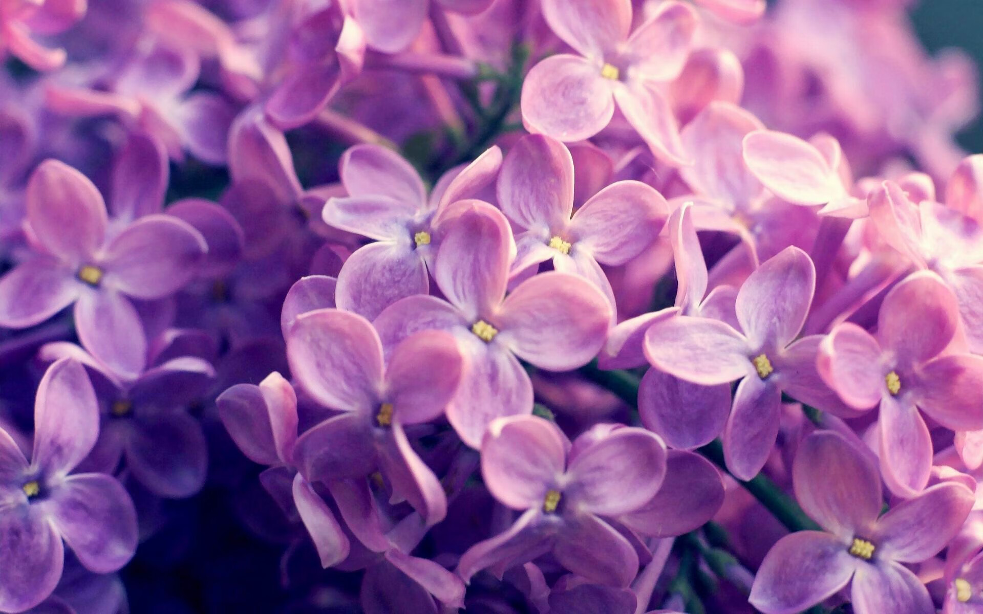 开云体育客户端-RB莱比锡主场大胜，压制对手在积分榜上，rb莱比锡足球俱乐部