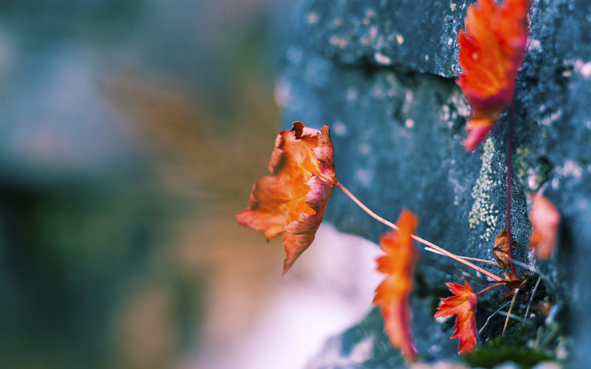 开云体育app安全下载-凶猛进攻，球队领先一步操控比赛！，凶猛进攻,球队领先一步操控比赛的是谁