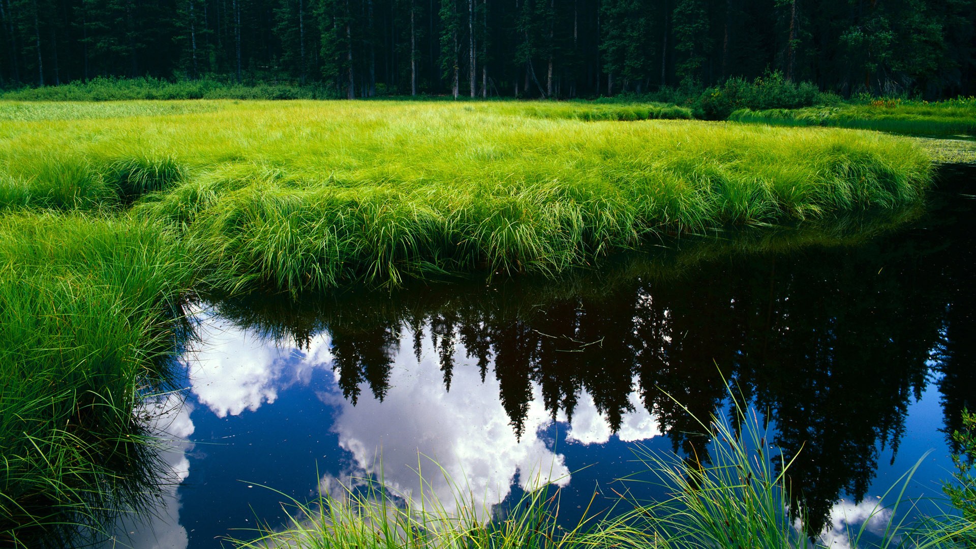 极致竞争:热血搏杀,瞬间决定胜负,极致经营是什么意思