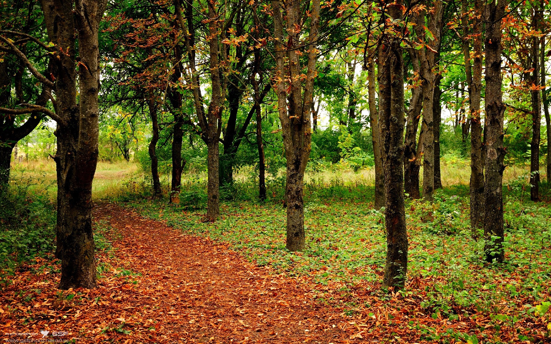 电竞城市构建电竞产业创新生态圈,电竞产业链构建