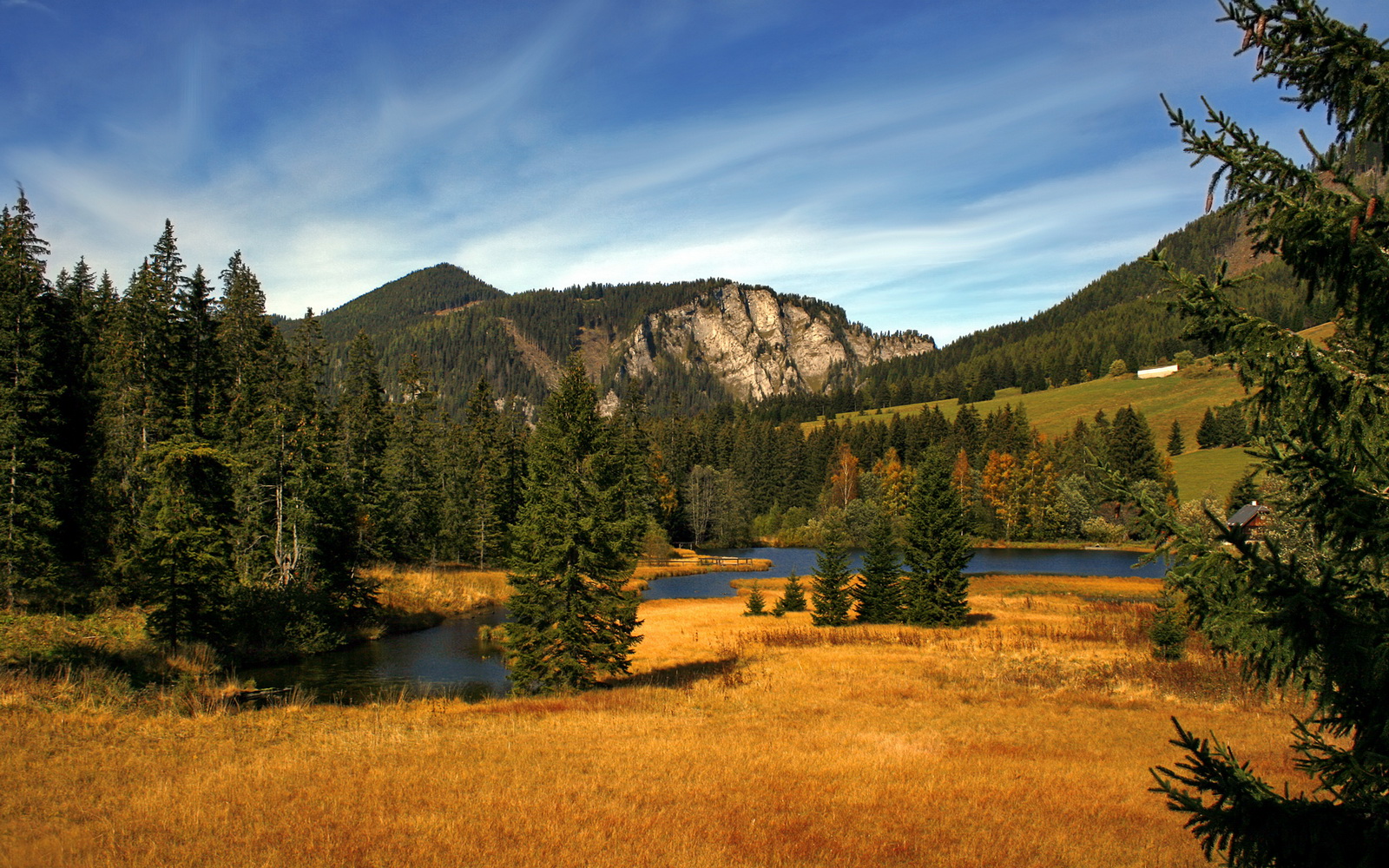 开云官网-瓜达拉哈拉球员获选月度最佳，表现突出，瓜达拉哈拉 tvb