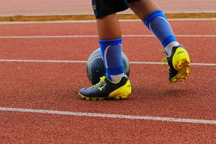 开云在线-NBA球员训练营最新发展动态，nba球员日常训练项目